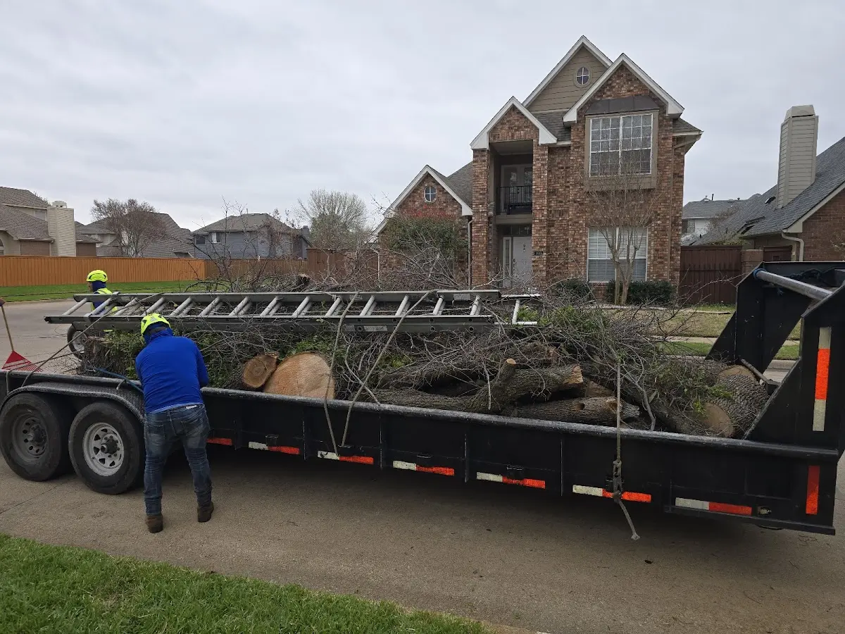 Expert Tree Fertilization with proper safety equipment in South Vienna
